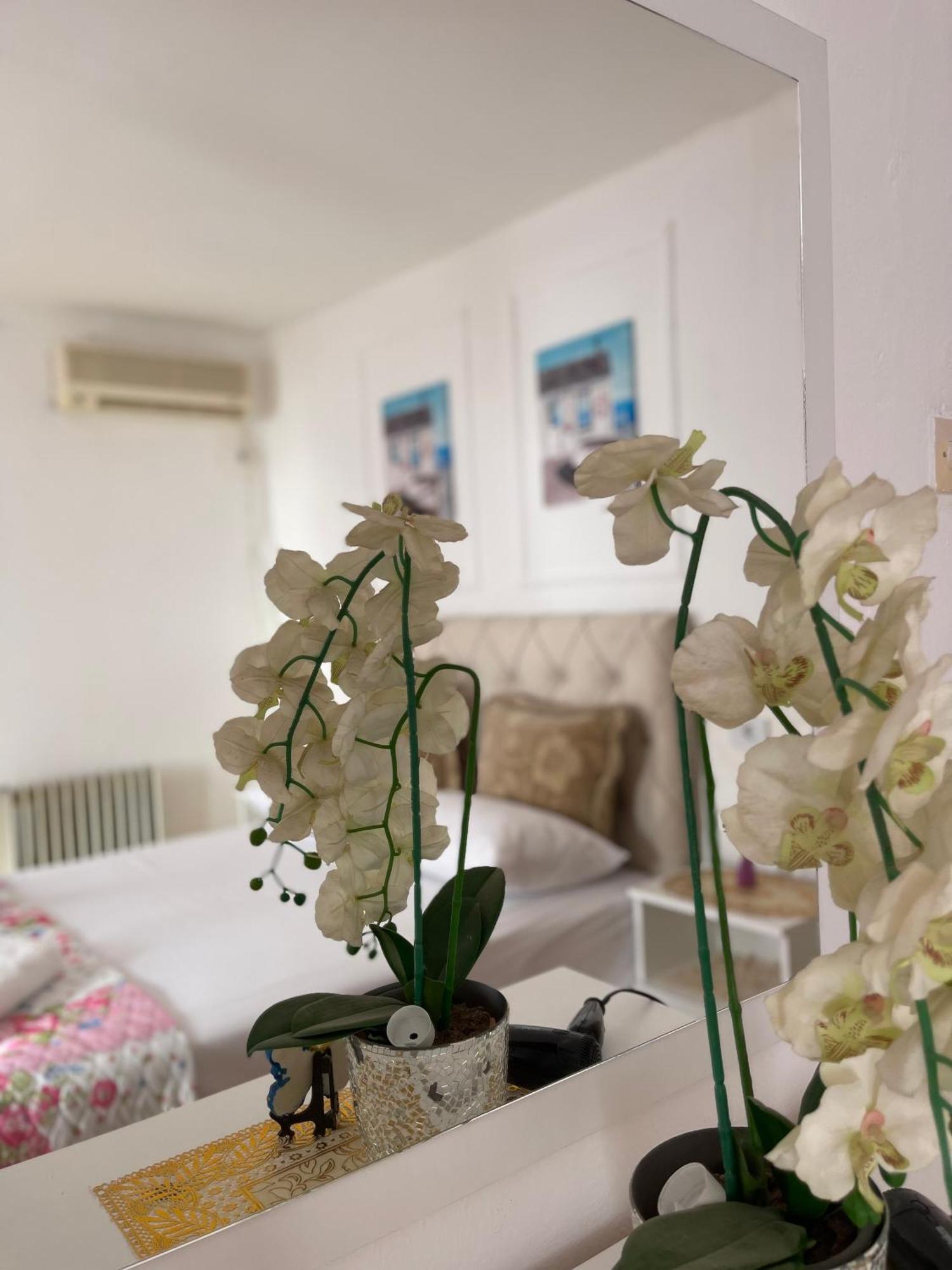 Nautica Home Ulcinj Exterior foto